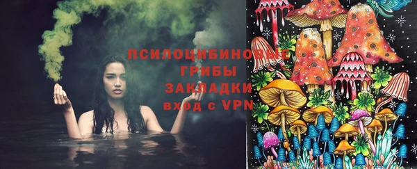 кокс Баксан