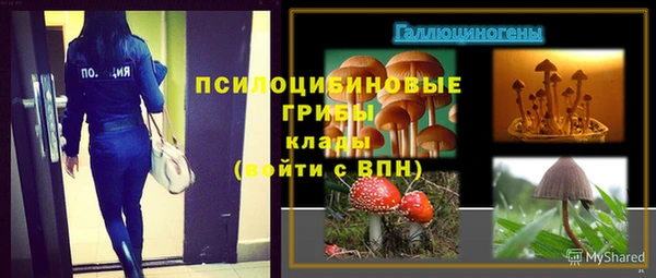 прущий лед Балахна