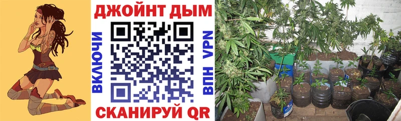 Канабис планчик  купить закладку  Светлый 